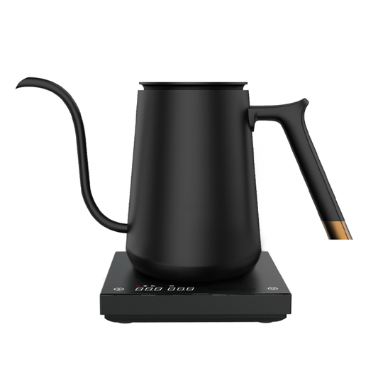 Fish Smart Electric Coffee Kettle 600ML( Back In Stock on May 10th )